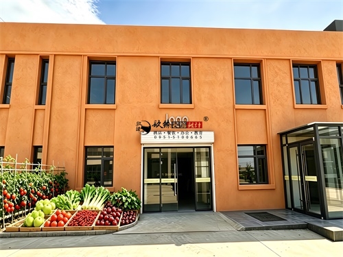 红寺堡农产办公楼展厅装修设计项目|镹臻设计